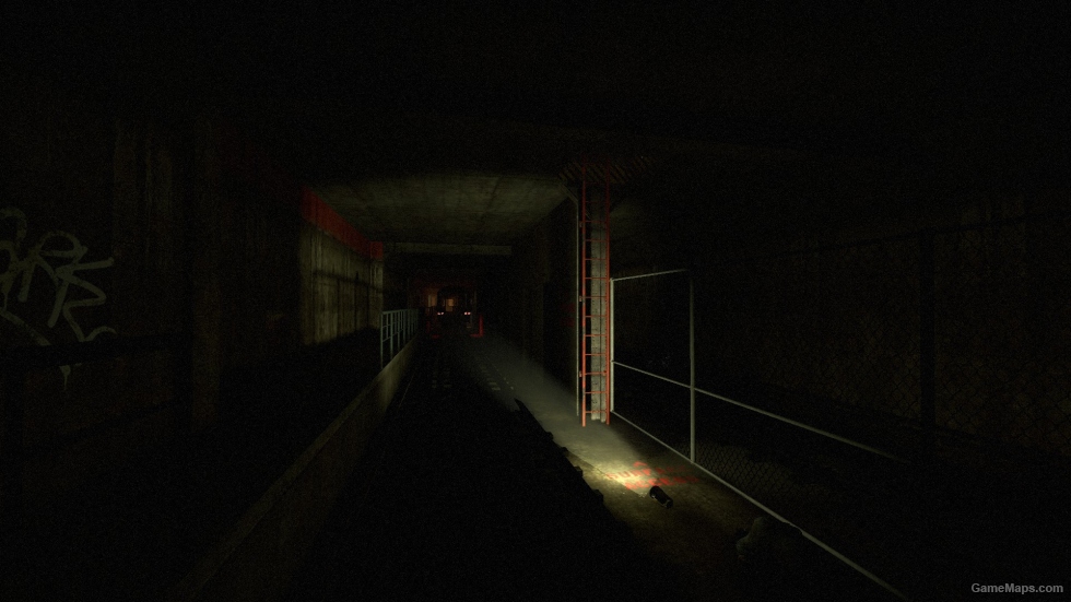Red Sea L4D
