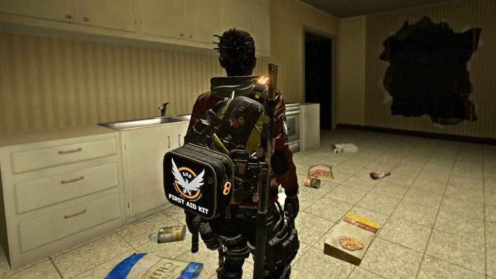 Rochelle The Division replaces Zoey