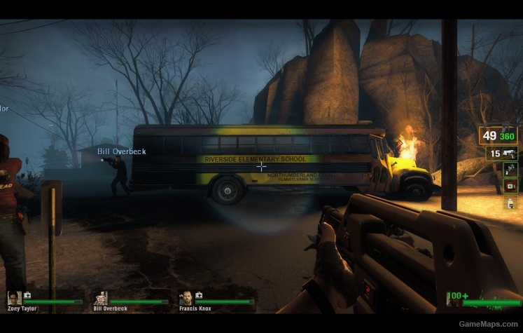 Schoolbus L4D1