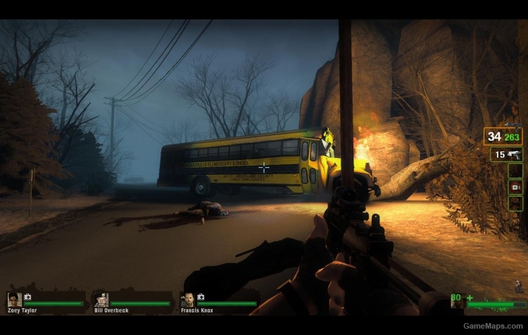 Schoolbus L4D1