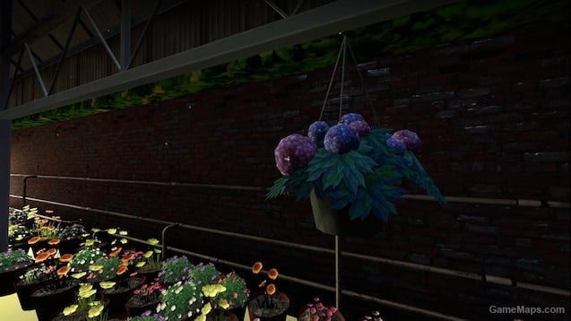 Springtime Potted Plants