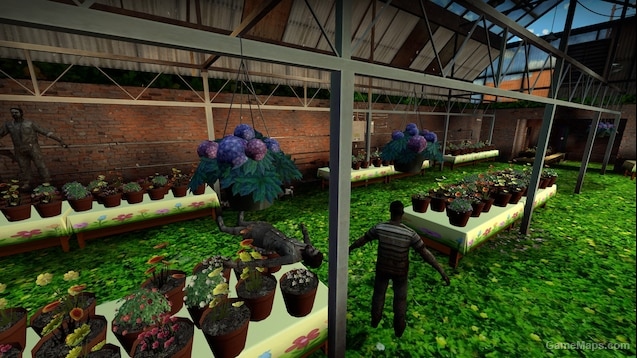 Springtime Potted Plants