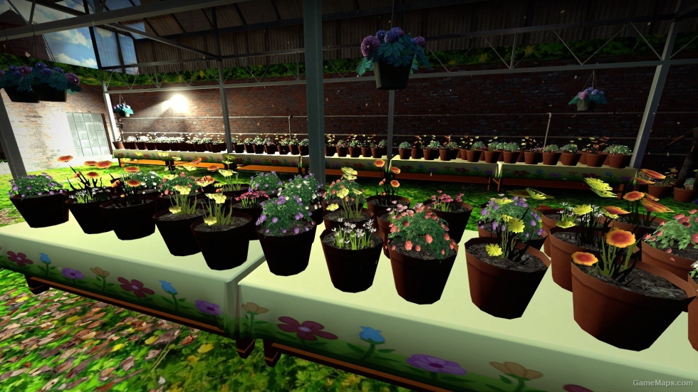Springtime Potted Plants