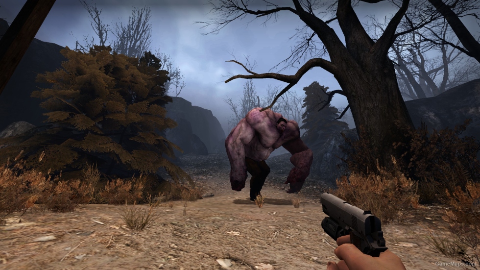 Steam Emoticon/Plush Tank Coloration (Reskin) port l4d1