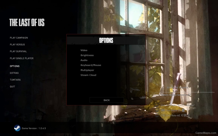 The Last Of Us Menu Background 2