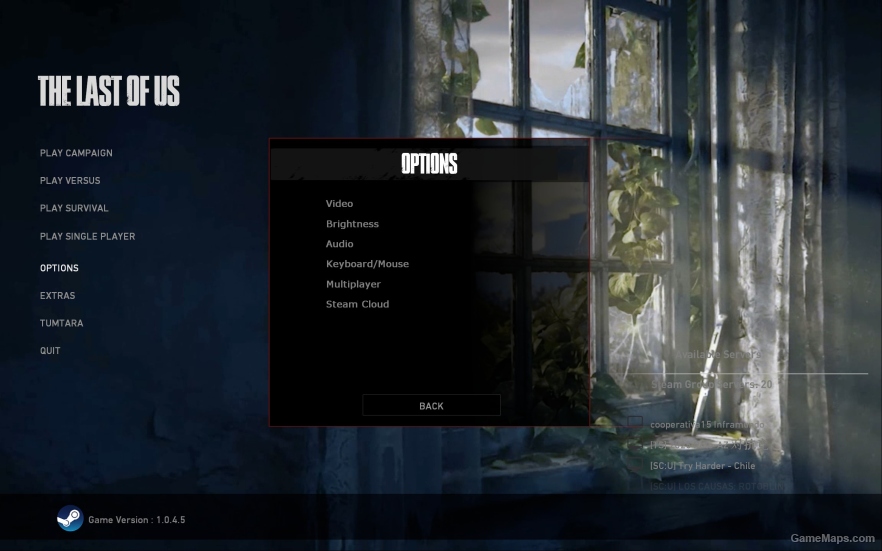 The Last Of Us Menu Background 3