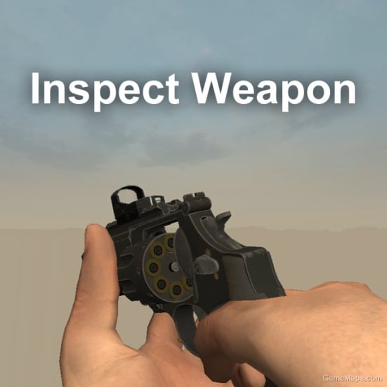 ADS Addon Inspect Weapon VScript [request]