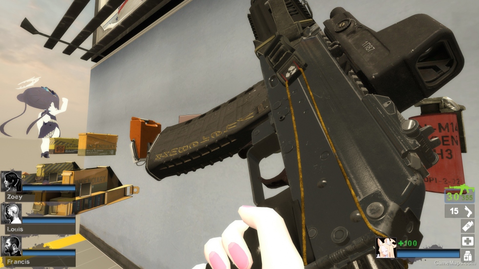 ak12 m16a2