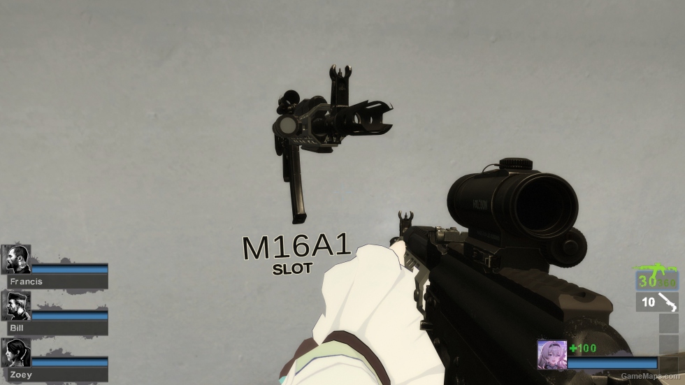 AK74 Tactical (M16A2)