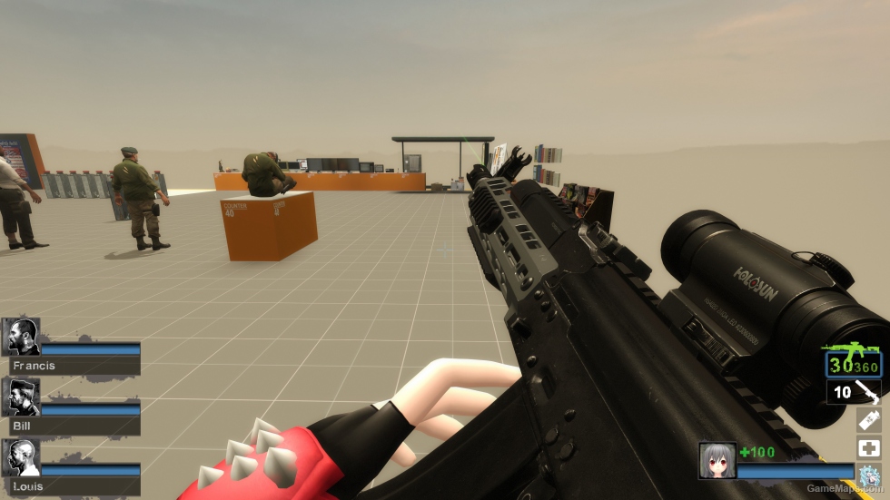 AK74 Tactical (M16A2)