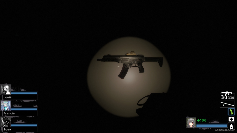 AM-17 (M16A2)