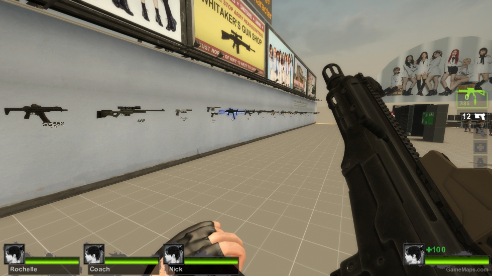 AM-17 (SIG SG 552) (request)