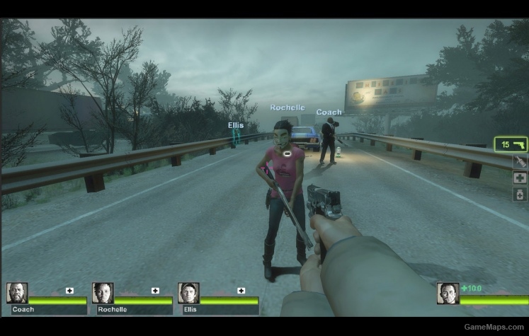 Anonymous mask l4d2 survivors