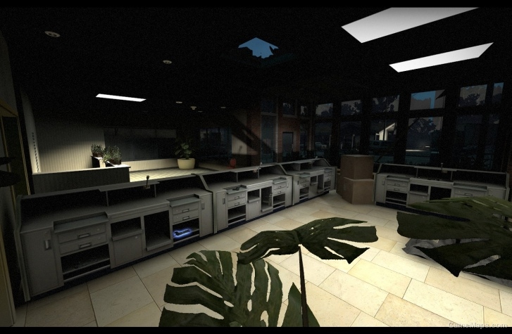 Bank Survival