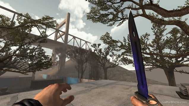 Bayonet | Doppler