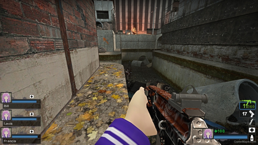 BF2042 AK-24 camo [M16A2]