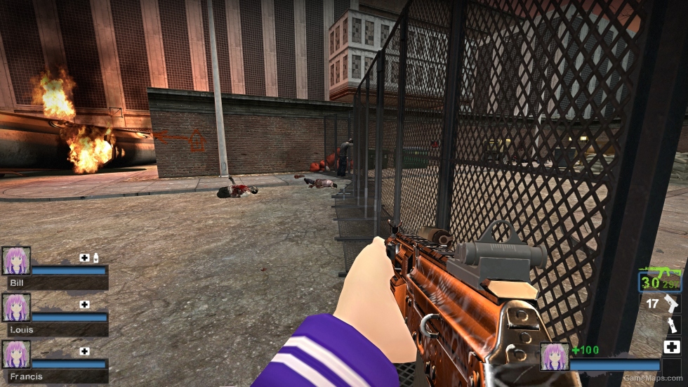 BF2042 AK-24 camo [M16A2]