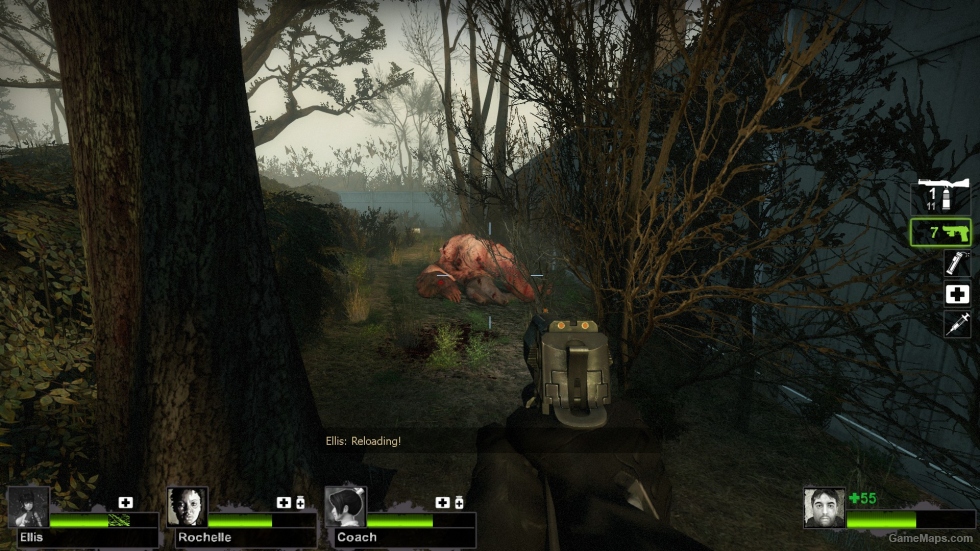 Birdshot Magnum Handgun