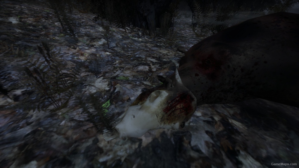 Bloody Dead Cows