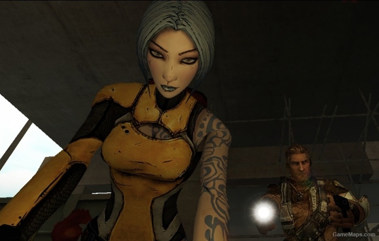 Borderlands 2 Survivors