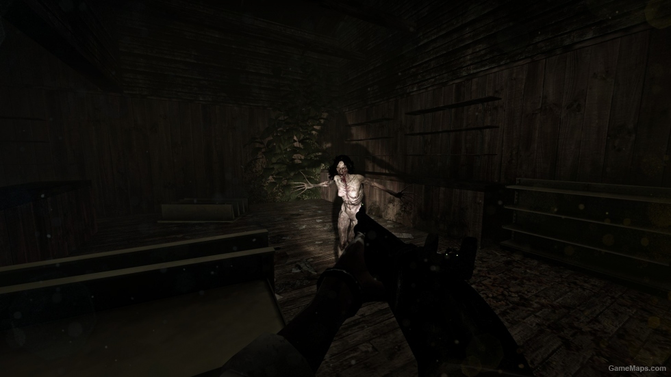 left 4 dead 2 witch left 4 dead 2 witch