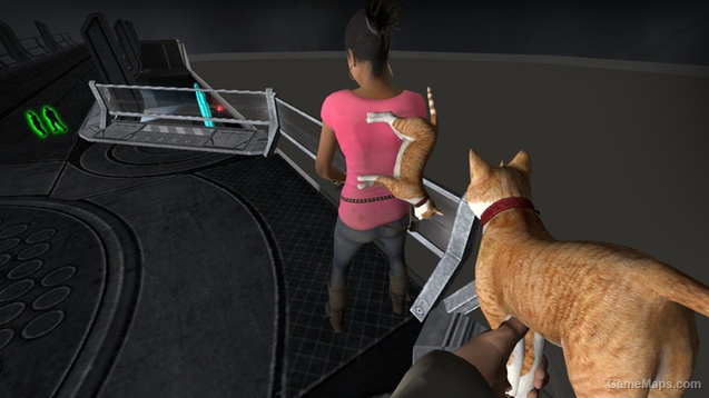 Cat Gun