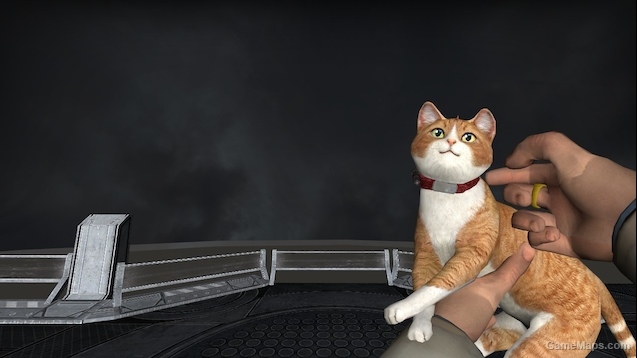 Cat Gun
