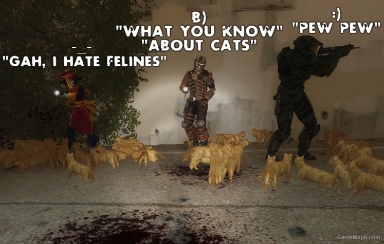 Cats!!!