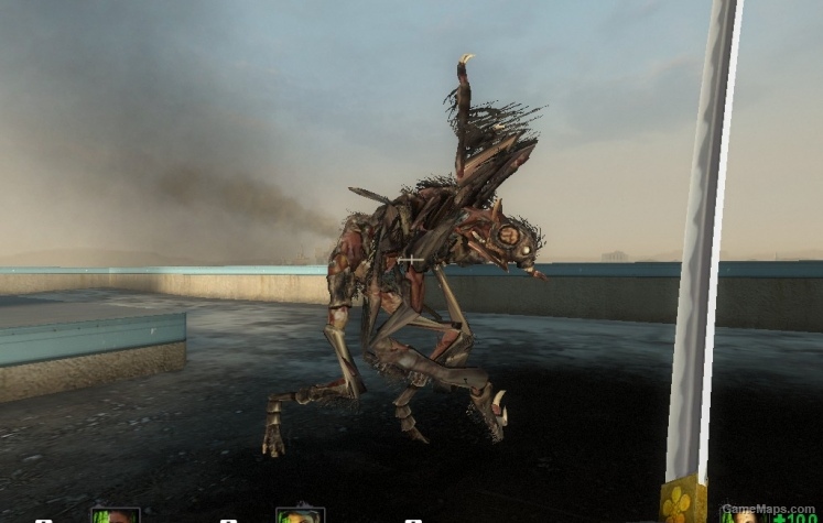 chimera