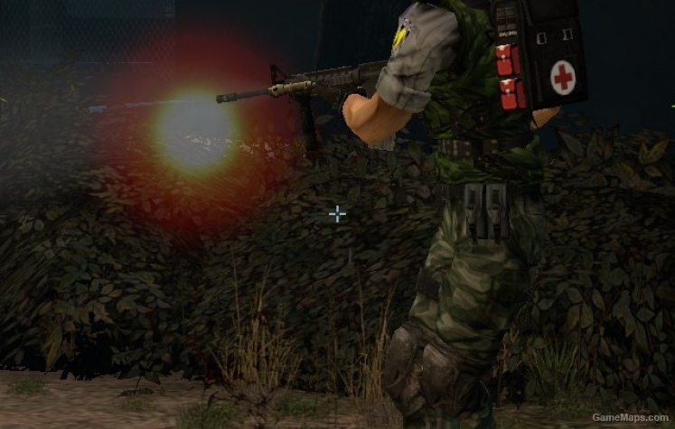 Chris Redfield Military Camo, Name & HUD Icons