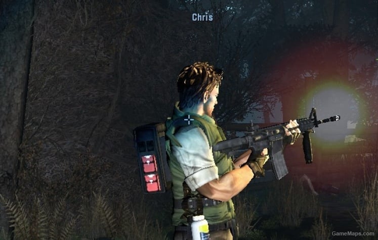 Chris Redfield mod, Name & HUD Icons