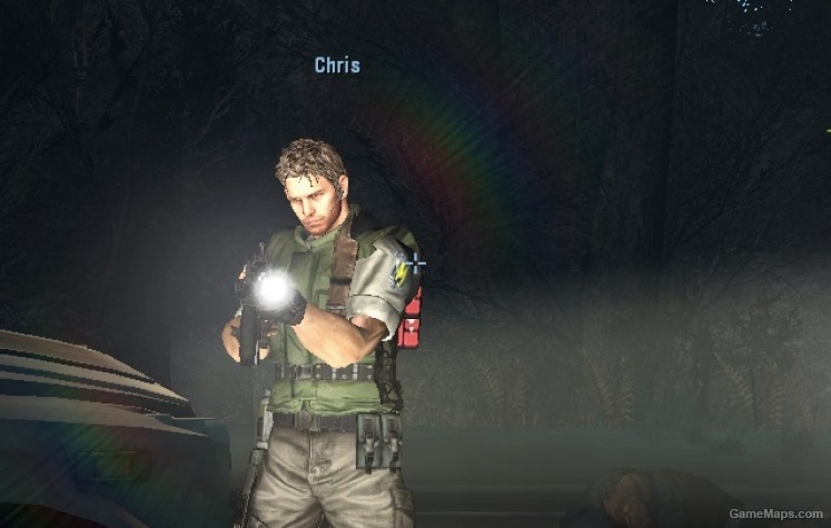 Chris Redfield mod, Name & HUD Icons