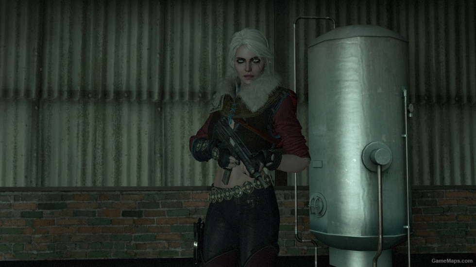 Ciri the whitcher3 (ZOEY)