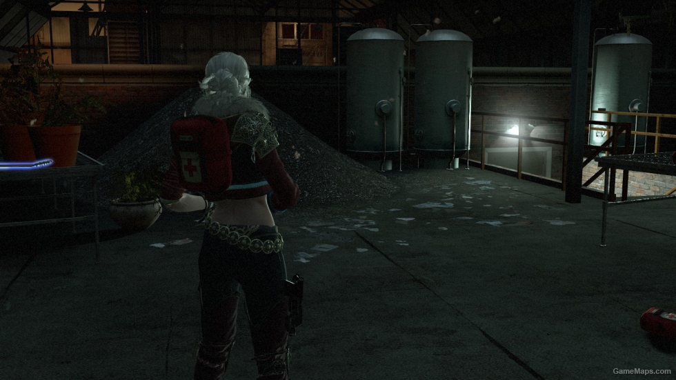 Ciri the whitcher3 (ZOEY)