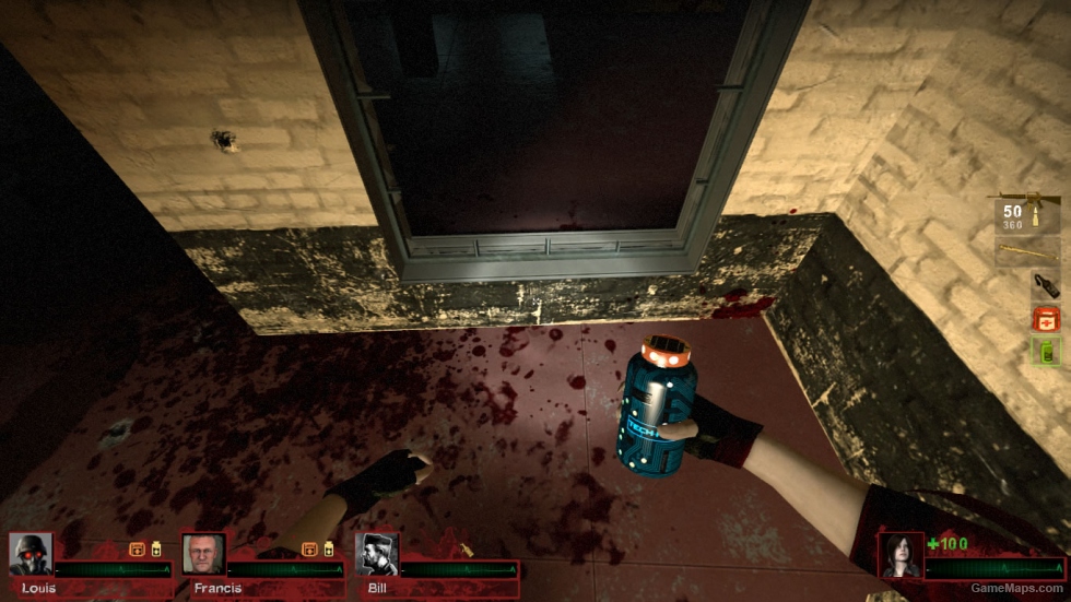 Claire Redfield ( Zoey )