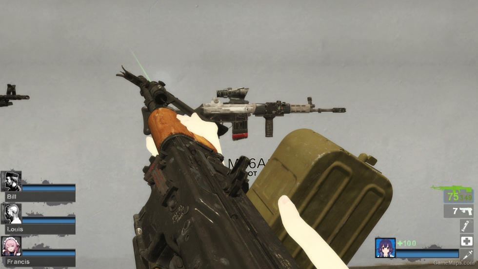 COD21 BO6 PU21 (AKM) [request]