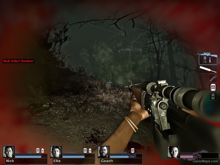 BO1 Dragunov (for Ruger)