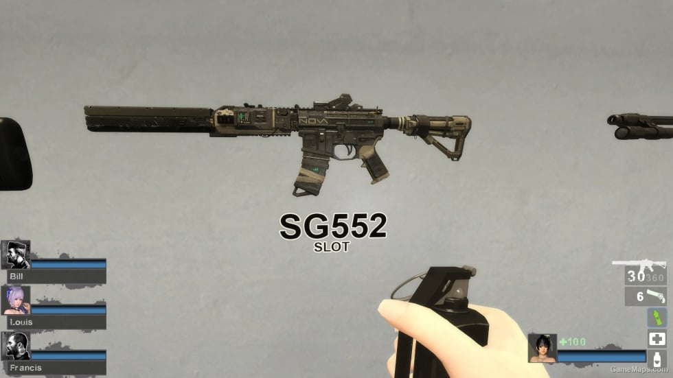 COD:IW NV4 2022 [SG552] (request)