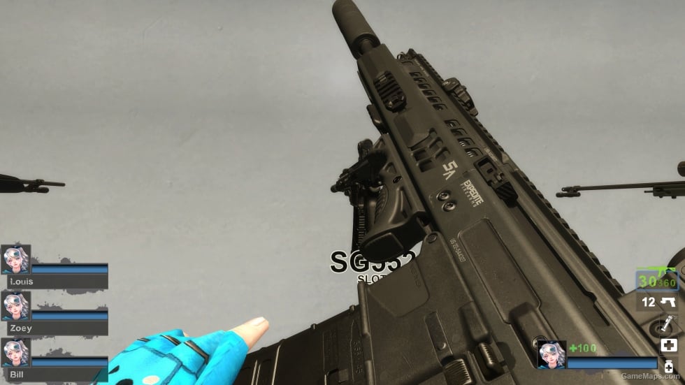 COD MW2022 ISO Hemlock (SG552) [request]