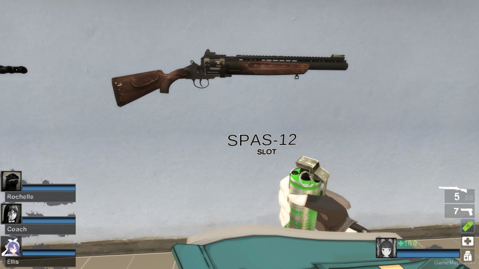 CODGHOSTS MTS-255 [SPAS-12] (request)