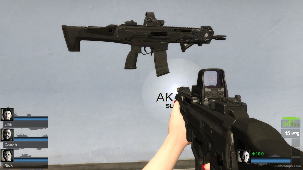 CODMW Heckler & Koch HK433 [AKM] (request)