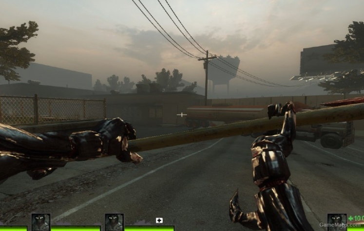 Collector survivors
