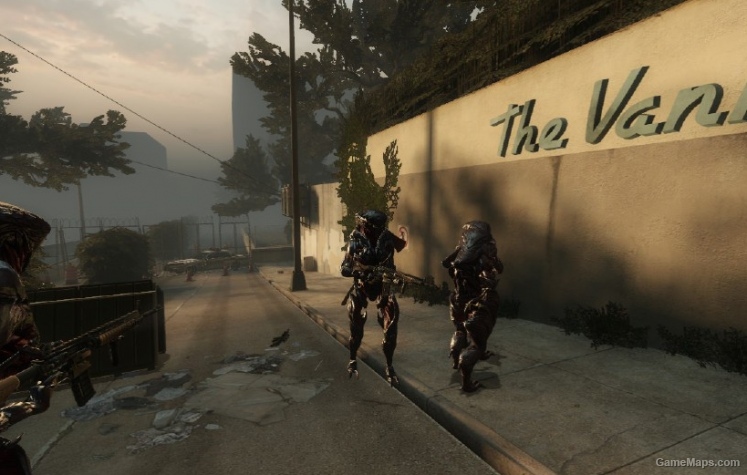 Collector survivors