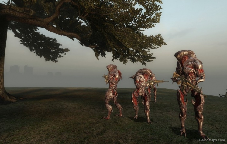 Collector survivors