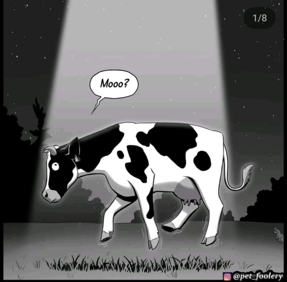 Country Roads NC Mashup (Fixed)