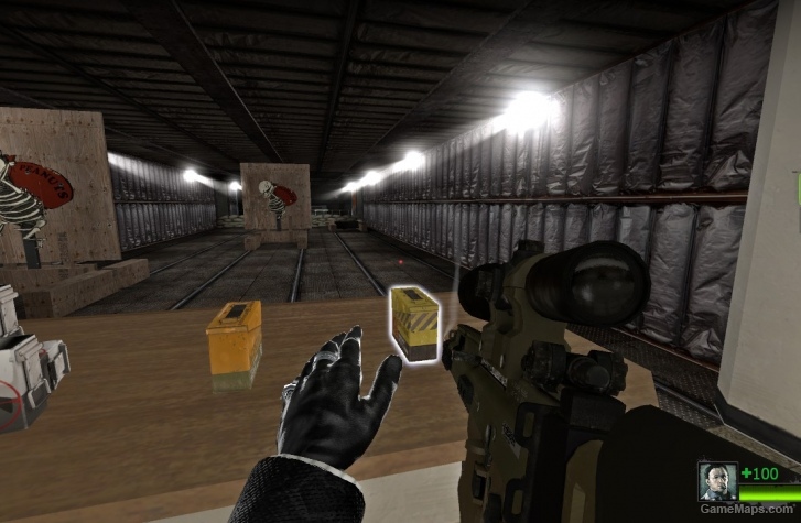 CS: GO SCAR-20 with custom animations