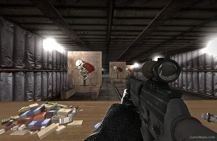 CS: GO SG553 on M16 rifle