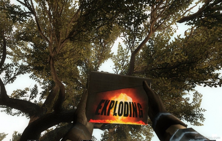 Custom ammo-boxes