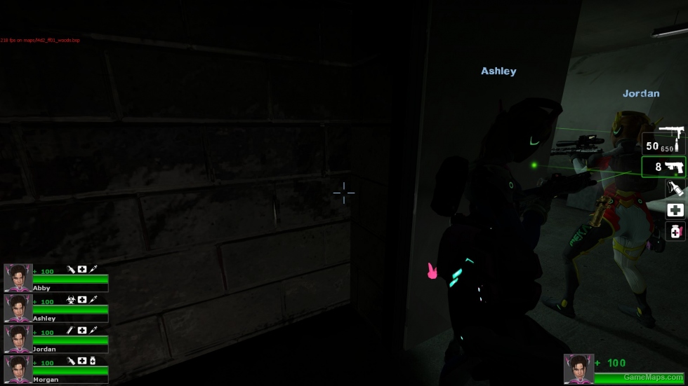 D.Va's Pistol as the Magnum