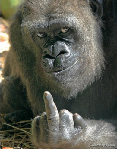 Gorilla